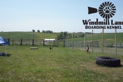 Windmill_Lane_Boarding_Kennel-large-play-area-4